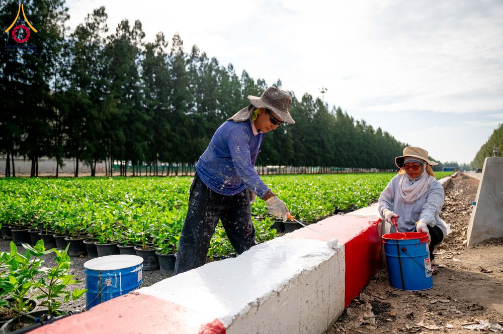 ภาพ No.285356:วันพุธที่ 10 ธันวาคม พ.ศ.2568  การเตรียมความพร้อมในโครงการธรรมยาตรา กตัญญูบูชา มหาปูชนียาจารย์ พระมงคลเทพมุนี(สด จนฺทสโร) พระผู้ปราบมาร อนุสรณ์สถาน 7 แห่ง ปีที่ 14 เก็บดอกเบญจทรัพย์ ณ วัดพระธรรมกาย