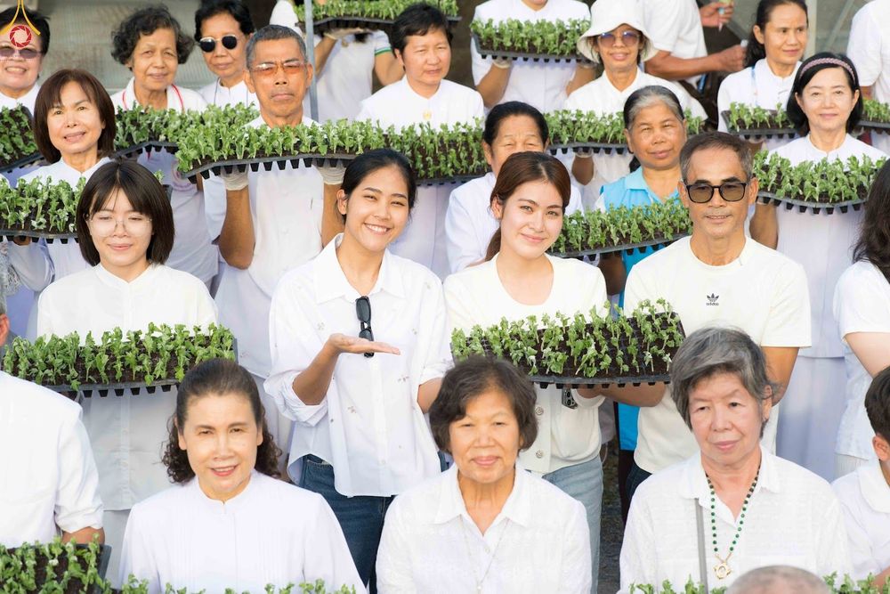 ภาพ No.344053:วันที่ 16 สิงหาคม พ.ศ.2569 การปักชำต้นกล้าเบญจทรัพย์ เพื่อเตรียมดอกไม้บูชาธรรม พระเดชพระคุณหลวงปู่ และโปรยต้อนรับพระธรรมยาตรา ปีที่ 15 ณ โรงเรือนปักชำประตู 8 วัดพระธรรมกาย