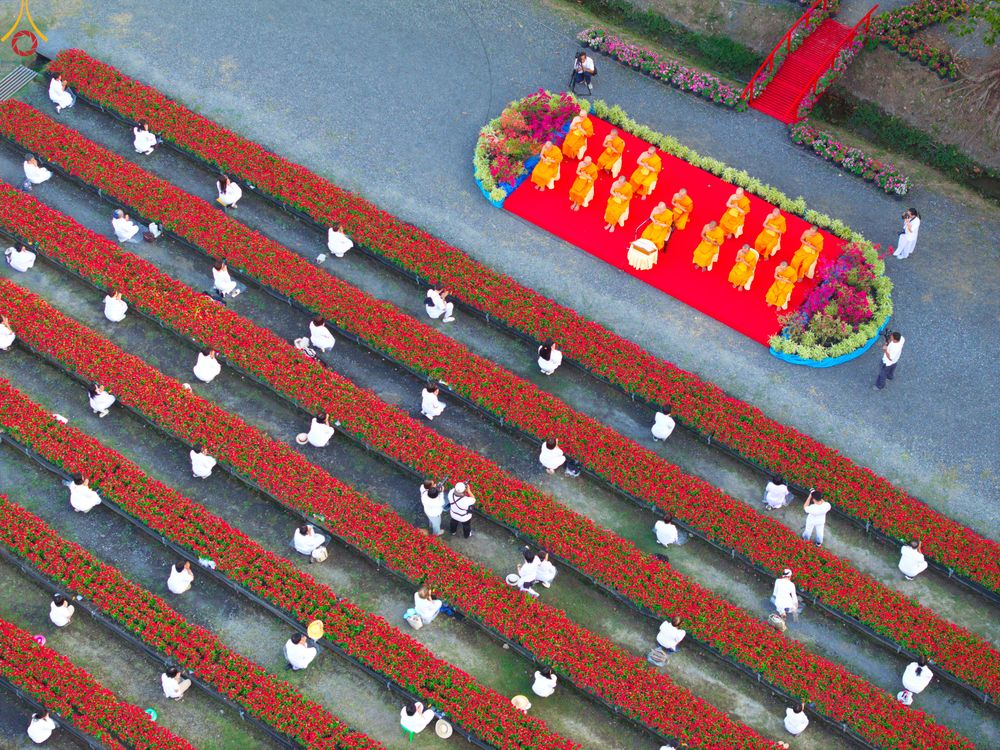 ภาพ No.280895:วันที่ 28 ธันวาคม พ.ศ.2568 กิจกรรมเก็บดอกแพงรวย ณ ทุ่งสวรรค์ตะวันฉาย วัดพระธรรมกาย