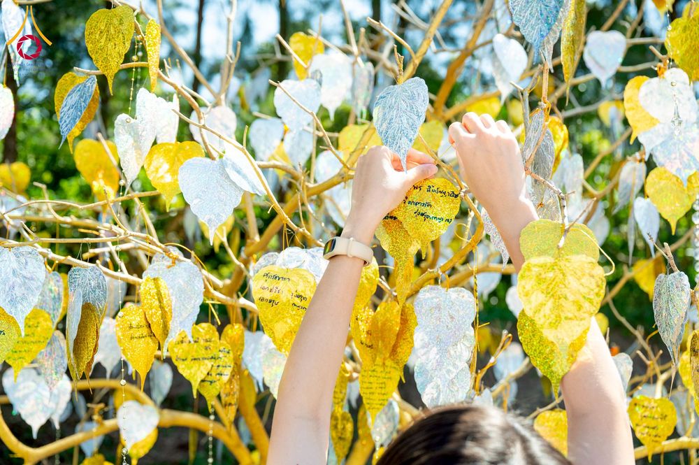 ภาพ No.274897:วันอาทิตย์ที่ 30 พฤศจิกายน พ.ศ. 2568 พิธีทอดผ้าป่า "สร้างองค์พระเจดีย์เพื่อสร้างสันติภาพโลก" ณ ศูนย์ปฏิบัติธรรมระยอง (บ้านช่องลม)