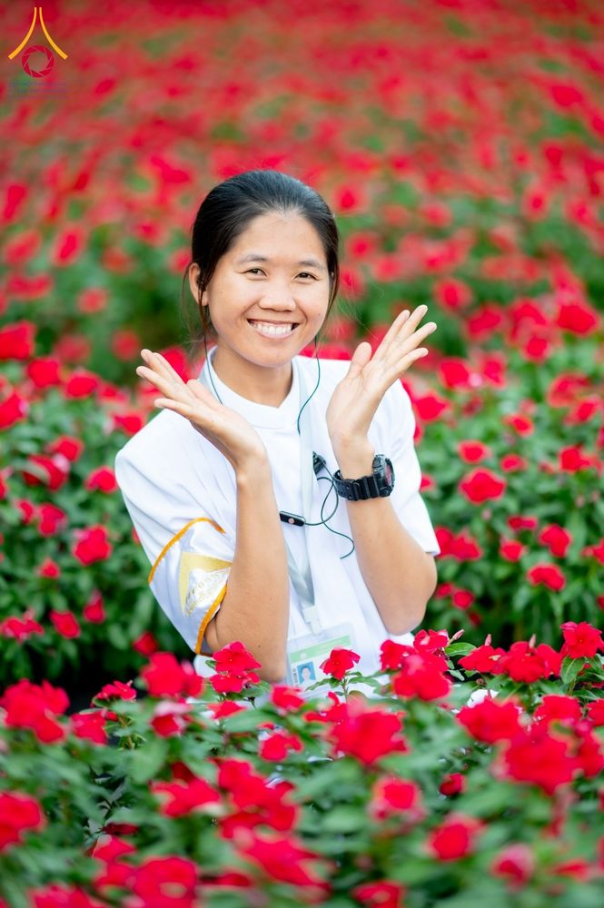 ภาพ No.185511:กิจกรรมเก็บดอกแพงรวย วันอาทิตย์ที่ 22 ธันวาคม พ.ศ. 2567 ณ ทุ่งสวรรค์ ตะวันฉาย วัดพระธรรมกาย