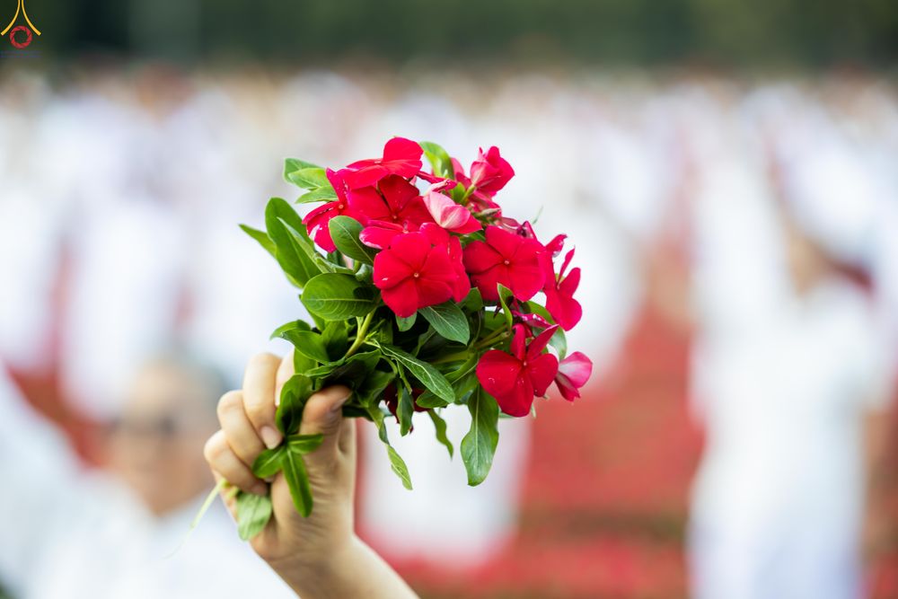 ภาพ No.280972:วันที่ 28 ธันวาคม พ.ศ.2568 กิจกรรมเก็บดอกแพงรวย ณ ทุ่งสวรรค์ตะวันฉาย วัดพระธรรมกาย