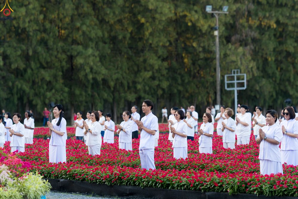 ภาพ No.281052:วันที่ 28 ธันวาคม พ.ศ.2568 กิจกรรมเก็บดอกแพงรวย ณ ทุ่งสวรรค์ตะวันฉาย วัดพระธรรมกาย