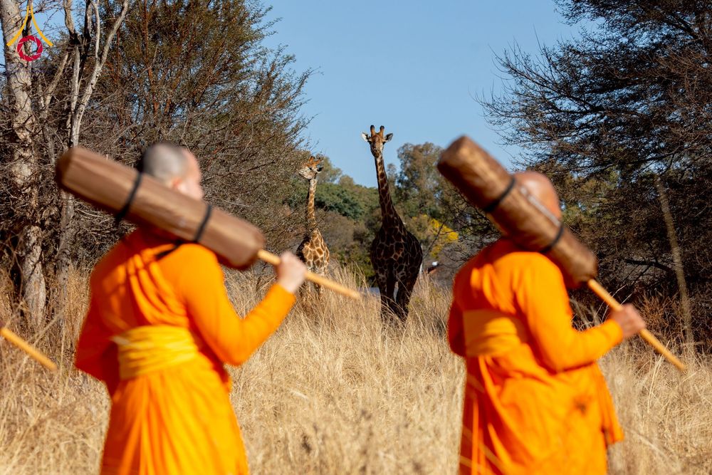 ภาพ No.232879:วันที่ 1 กรกฏาคม พ.ศ. 2568 Dhammayatra in South Africa 2025 ธรรมยาตราแอฟริกาใต้ — เส้นทางแห่งสติ สมาธิ และปัญญา ธรรมทายาทที่ได้อบรมโครงการบรรพชาอุปสมบทหมู่ครั้งที่ 2 ณ วัดพระธรรมกายโจฮันเนสเบิร์ก ประเทศแอฟริกาใต้