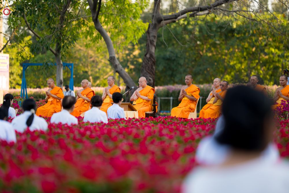 ภาพ No.280892:วันที่ 28 ธันวาคม พ.ศ.2568 กิจกรรมเก็บดอกแพงรวย ณ ทุ่งสวรรค์ตะวันฉาย วัดพระธรรมกาย