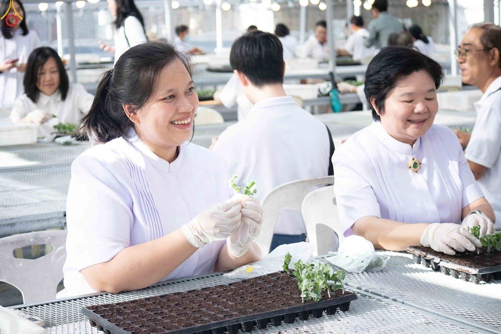 ภาพ No.343994:วันที่ 16 สิงหาคม พ.ศ.2569 การปักชำต้นกล้าเบญจทรัพย์ เพื่อเตรียมดอกไม้บูชาธรรม พระเดชพระคุณหลวงปู่ และโปรยต้อนรับพระธรรมยาตรา ปีที่ 15 ณ โรงเรือนปักชำประตู 8 วัดพระธรรมกาย