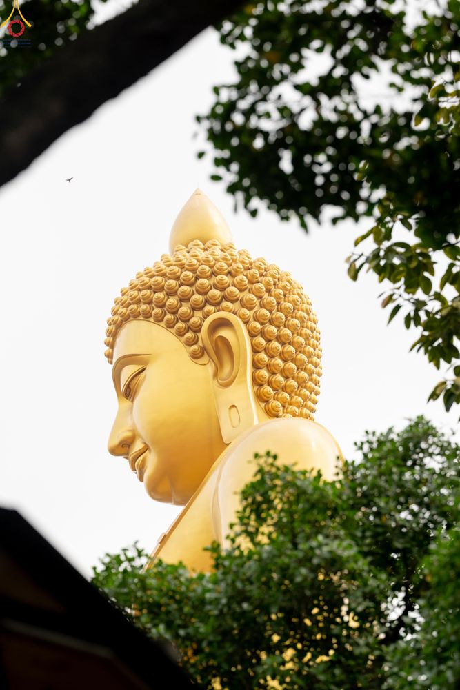 ภาพ No.299891:วันที่ 22 มกราคม พ.ศ.2569 พระธรรมยาตราปฏิบัติธรรม และถ่ายภาพหมู่ประวัติศาสตร์ ณ อาคารธรรมยาตรา กตัญญูบูชามหาปูชนียาจารย์  ตรงข้ามวัดปากน้ำภาษีเจริญ จ.กรุงเทพมหานคร ในโครงการธรรมยาตรา กตัญญูบูชา มหาปูชนียาจารย์ พระมงคลเทพมุนี(สด จนฺทสโร) พระผู้ปราบมาร อนุ