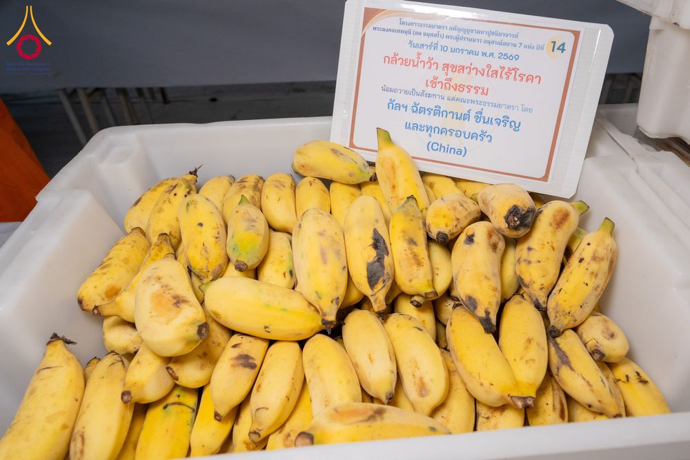 ภาพ No.291458:วันที่ 10 มกราคม พ.ศ. 2569 พิธีถวายภัตตาหารเป็นสังฆทาน แด่พระธรรมยาตรา ณ อนุสรณ์สถานคลองบางนางแท่น อ.สามพราน จ.นครปฐม ในโครงการธรรมยาตรา กตัญญูบูชา มหาปูชนียาจารย์ พระมงคลเทพมุนี(สด จนฺทสโร) พระผู้ปราบมาร อนุสรณ์สถาน 7 แห่ง ปีที่ 14