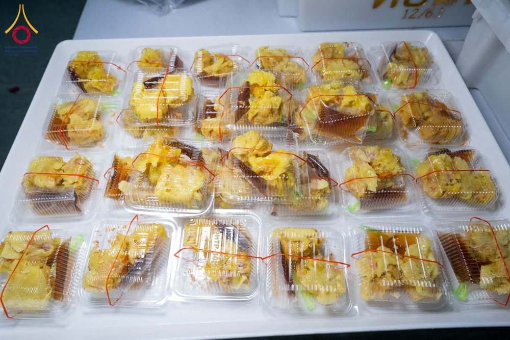 ภาพ No.301103:วันที่ 23 มกราคม พ.ศ. 2569 พิธีถวายภัตตาหารเป็นสังฆทาน แด่พระธรรมยาตรา ณ อนุสรณ์สถานบางปลา วัดบางปลา อำเภอบางเลน จังหวัดนครปฐม ในโครงการธรรมยาตรา กตัญญูบูชา มหาปูชนียาจารย์ พระมงคลเทพมุนี(สด จนฺทสโร) พระผู้ปราบมาร อนุสรณ์สถาน 7 แห่ง ปีที่ 14