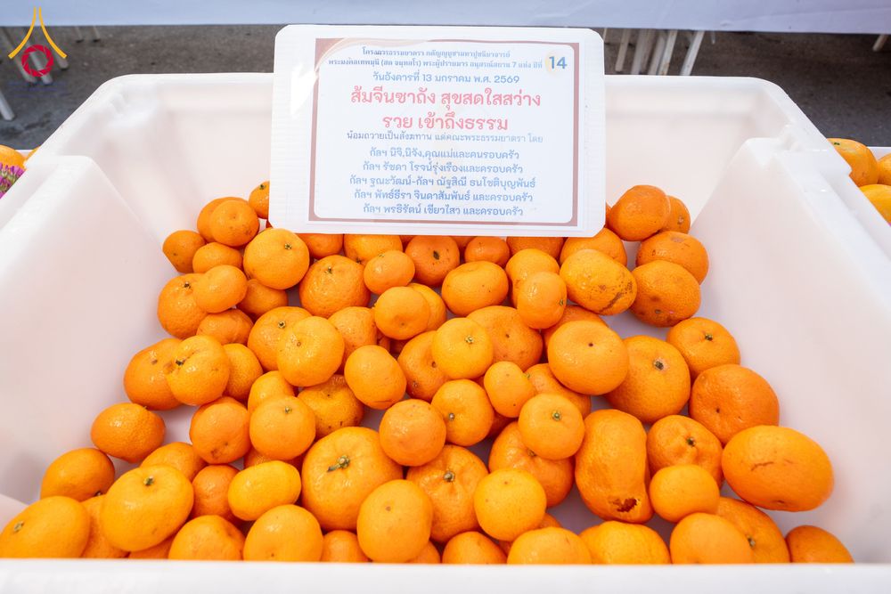 ภาพ No.293573:วันที่ 13 มกราคม พ.ศ. 2569 พิธีถวายภัตตาหารเป็นสังฆทาน แด่พระธรรมยาตรา ณ อนุสรณ์สถานมหาวิหารพระมงคลเทพมุนี (โลตัสแลนด์) อ.สองพี่น้อง จ.สุพรรณบุรี ในโครงการธรรมยาตรา กตัญญูบูชา มหาปูชนียาจารย์ พระมงคลเทพมุนี(สด จนฺทสโร) พระผู้ปราบมาร อนุสรณ์สถาน 7 แห่ง ปี