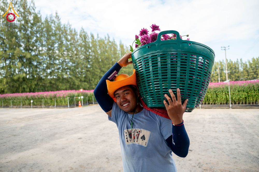 ภาพ No.285346:วันพุธที่ 10 ธันวาคม พ.ศ.2568  การเตรียมความพร้อมในโครงการธรรมยาตรา กตัญญูบูชา มหาปูชนียาจารย์ พระมงคลเทพมุนี(สด จนฺทสโร) พระผู้ปราบมาร อนุสรณ์สถาน 7 แห่ง ปีที่ 14 เก็บดอกเบญจทรัพย์ ณ วัดพระธรรมกาย