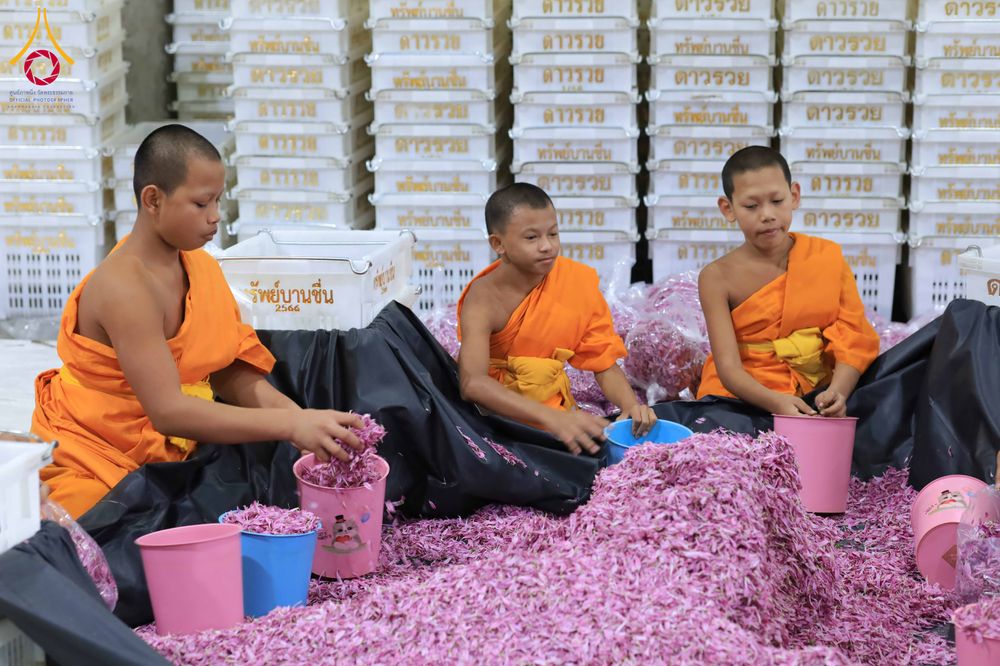 ภาพ No.303253:วันที่ 15-21 มกราคม พ.ศ.2569 ปลิดกลีบดอกเบญจทรัพย์ เพื่อโปรยต้อนรับพระธรรมยาตรา ในโครงการธรรมยาตรา กตัญญูบูชา มหาปูชนียาจารย์ พระมงคลเทพมุนี(สด จนฺทสโร) พระผู้ปราบมาร อนุสรณ์สถาน 7 แห่ง ปีที่ 14 ณ วิหารคด วัดพระธรรมกาย