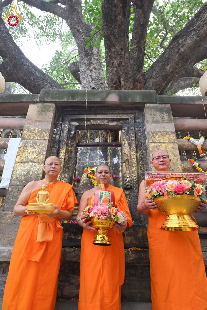 ภาพ No.179765:พิธีทอดกฐินสมทบ ณ วัดพุทธรัตน ทอดกฐินใต้ต้นพระศรีมหาโพธิ์ เมืองพุทธคยา ประเทศอินเดีย วันที่ 12 พฤศจิกายน พ.ศ. 2567