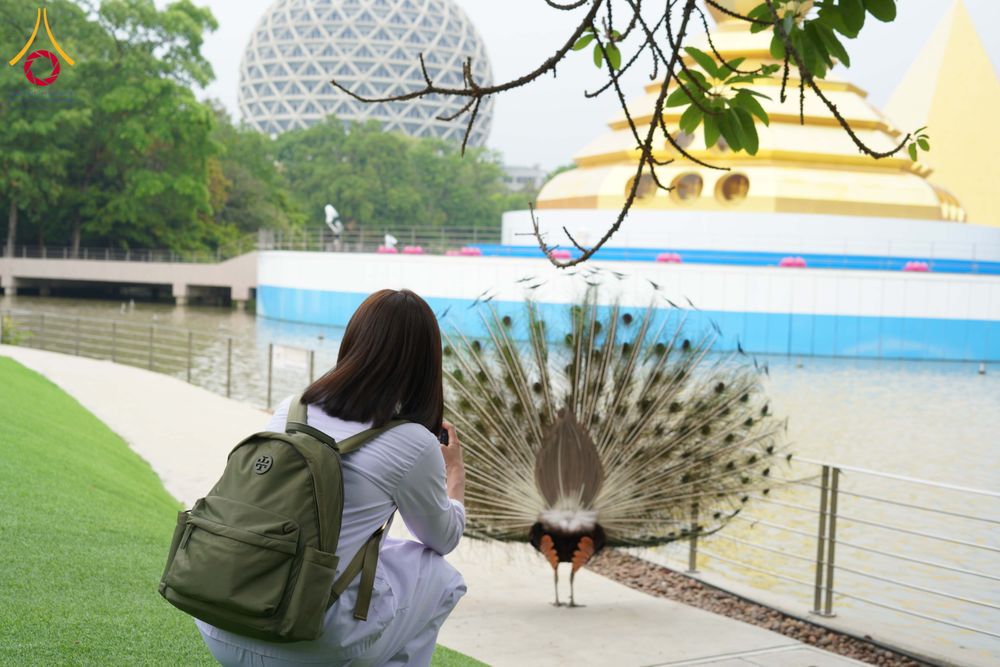 ภาพ No.326786:วันที่ 27-30 เมษายน พ.ศ.2569 ต้อนรับชาวต่างชาติจากประเทศมาเลเซีย ฝรั่งเศส เมียนมาร์ และศรีลังกา  เยี่ยมชมวัดพระธรรมกาย