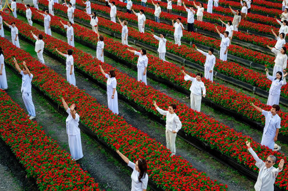 ภาพ No.280962:วันที่ 28 ธันวาคม พ.ศ.2568 กิจกรรมเก็บดอกแพงรวย ณ ทุ่งสวรรค์ตะวันฉาย วัดพระธรรมกาย