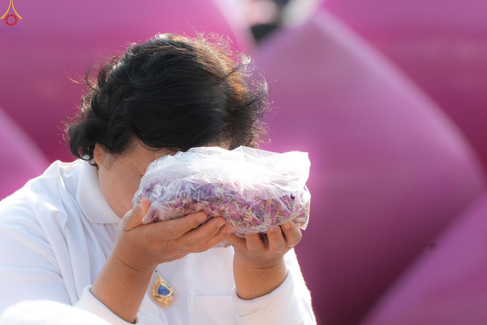 ภาพ No.299343:วันที่ 18 มกราคม พ.ศ. 2569 พิธีต้อนรับพระธรรมยาตรา ณ อนุสรณ์สถานลำดับที่ 5 สถานที่เผยแผ่วิชชาธรรมกายครั้งแรก อนุสรณ์สถานบางปลา วัดบางปลา อำเภอบางเลน จังหวัดนครปฐม ในโครงการธรรมยาตรา กตัญญูบูชา มหาปูชนียาจารย์ พระมงคลเทพมุนี(สด จนฺทสโร) พระผู้ปราบมาร อนุส