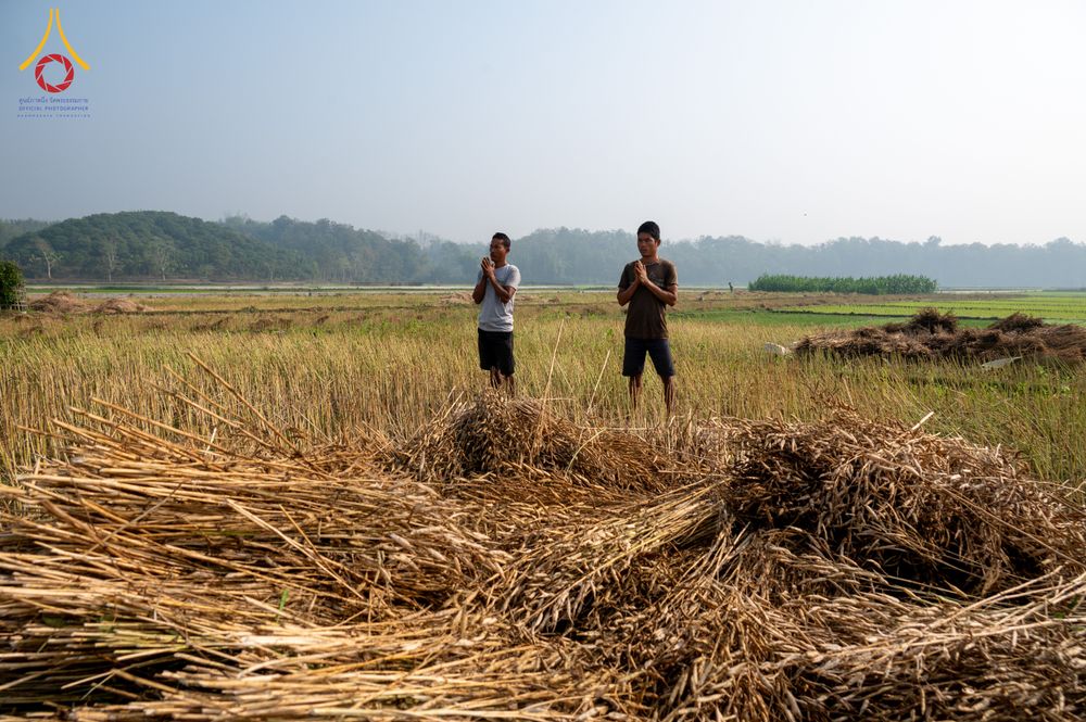 ภาพ No.310002:วันที่ 3-8 กุมภาพันธ์ พ.ศ. 2569 ธรรมยาตราบังกลาเทศ (Rajban Vihar - Khagrachri) ณ ประเทศบังกลาเทศ (Bangladesh)