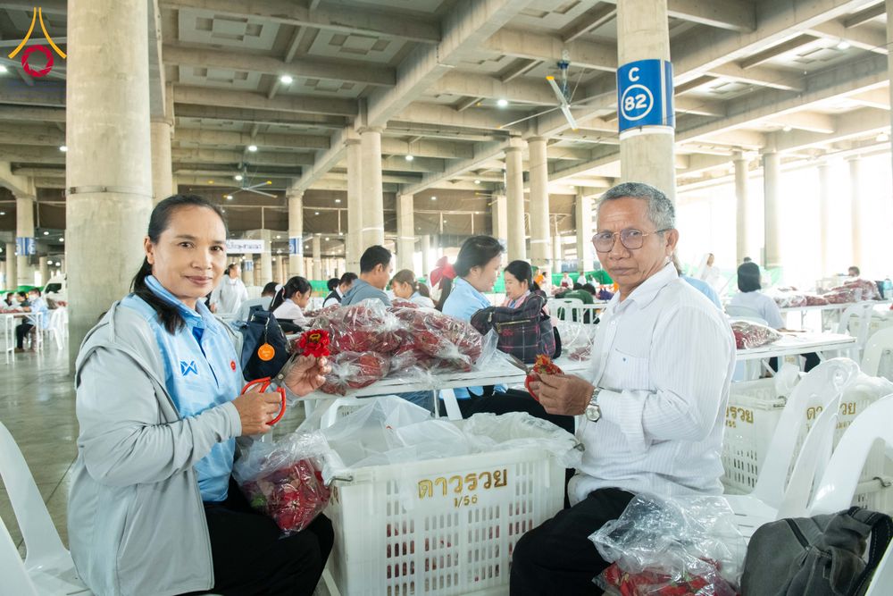 ภาพ No.279456:วันที่ 19-26 ธันวาคม พ.ศ. 2568 และ วันที่ 1 มกราคม พ.ศ.2569 รับบุญปลิดกลีบดอกไม้ เพื่อโปรยต้อนรับพระธรรมยาตรา