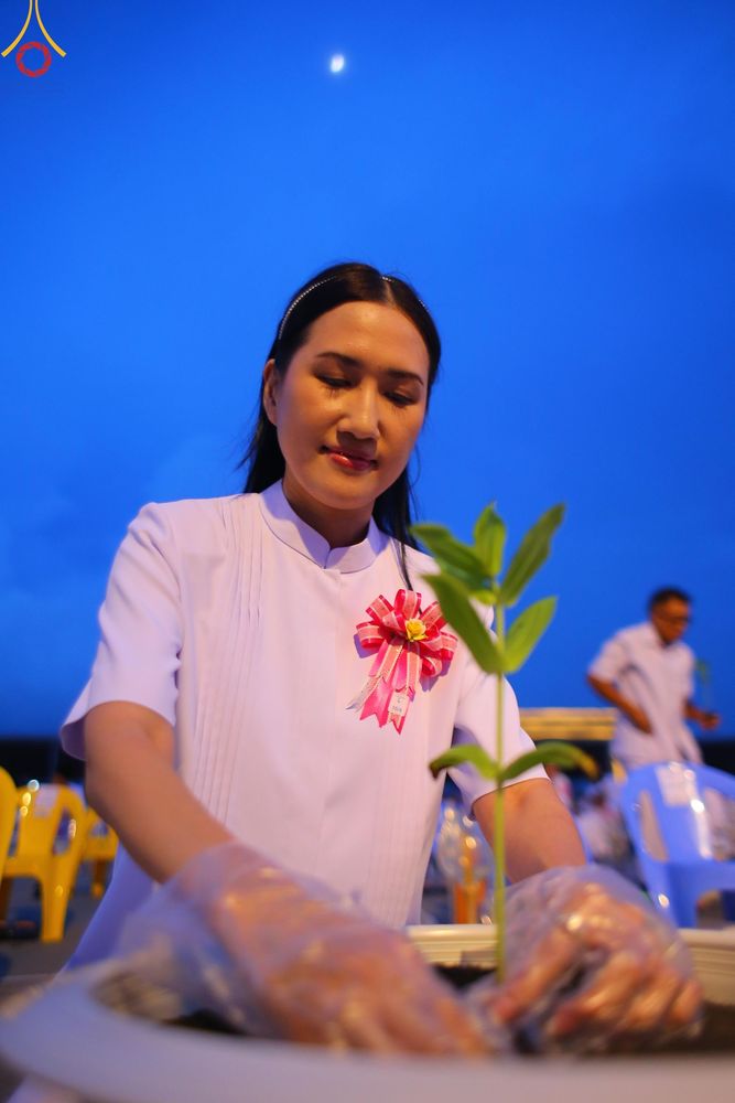 ภาพ No.160517:พิธีปลูกต้นทรัพย์บานชื่น ณ ลานธรรม พระมหาธรรมกายเจดีย์ วัดพระธรรมกาย จ.ปทุมธานี วันพฤหัสบดีที่ 10 ตุลาคม พ.ศ. 2567