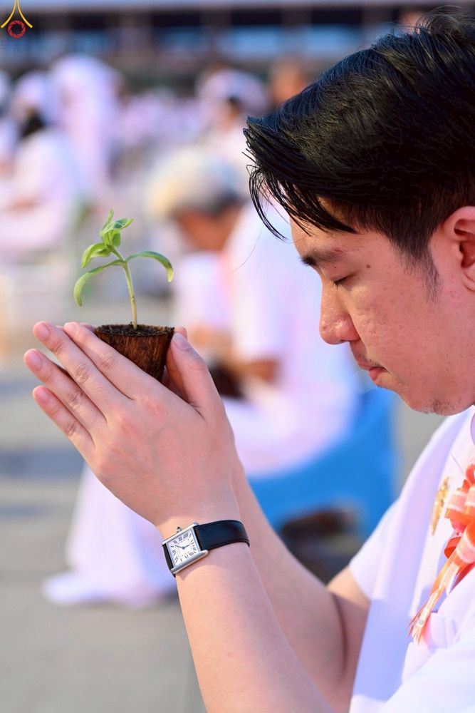 ภาพ No.252989:วันที่ 10 ตุลาคม พ.ศ. 2568 พิธีปลูกต้นทรัพย์บานชื่น ณ ลานธรรม วัดพระธรรมกาย
