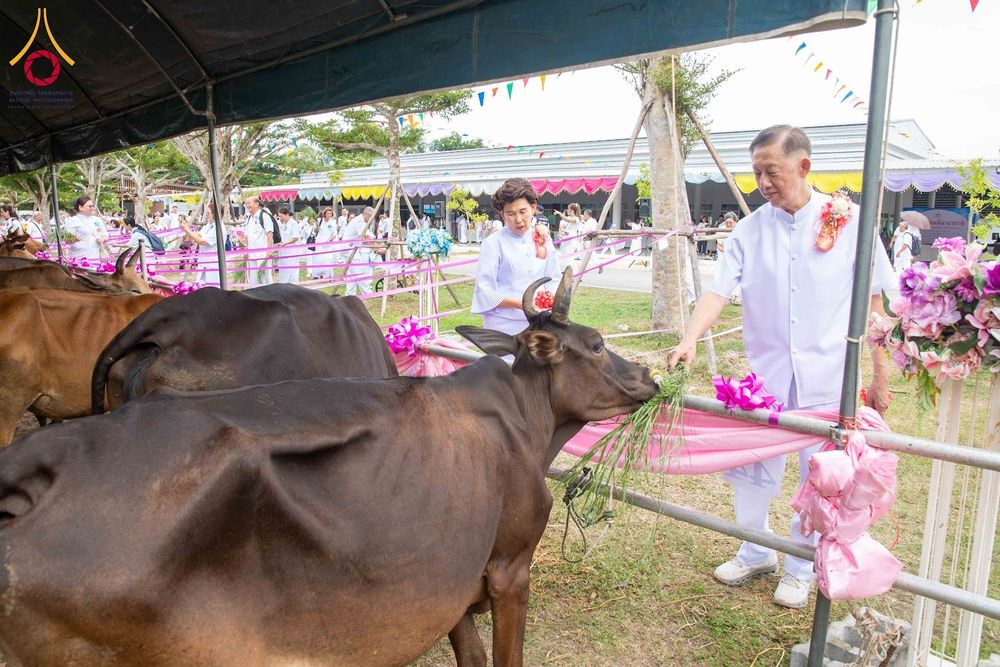 ภาพ No.344742:วันเสาร์ที่ 15 สิงหาคม พ.ศ. 2569 (สาย) พิธีบุพเปตพลีนานาชาติ ปีที่ 13 ณ ศูนย์ปฏิบัติธรรมภาคใต้ อ.บางกล่ำ จ.สงขลา