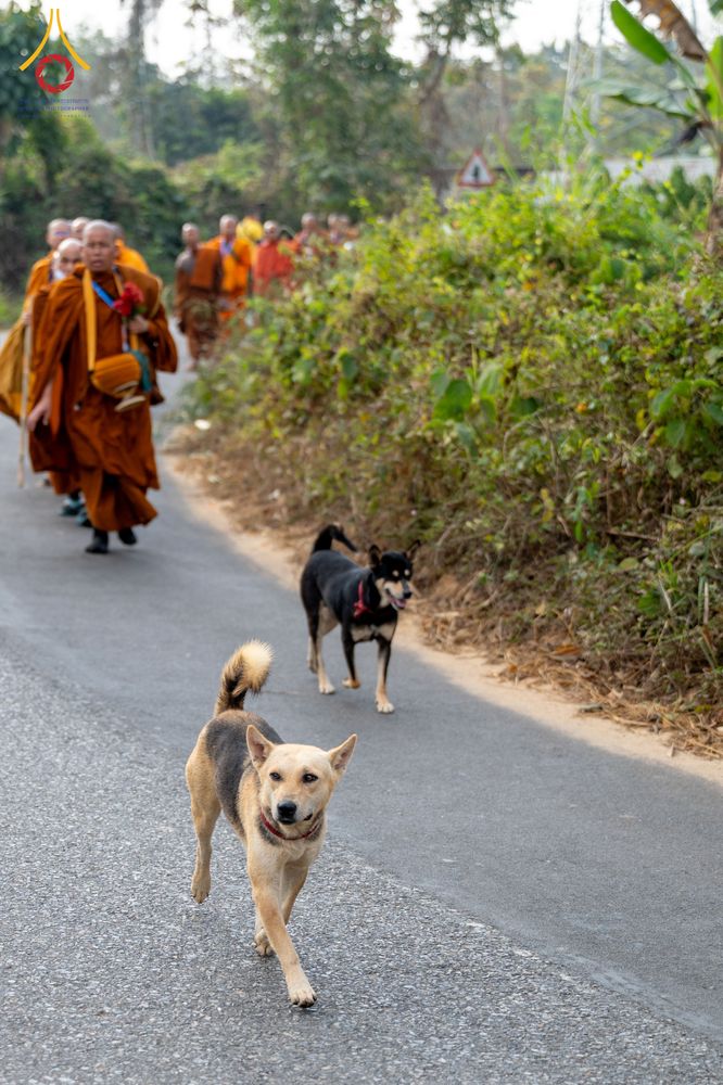 ภาพ No.309899:วันที่ 3-8 กุมภาพันธ์ พ.ศ. 2569 ธรรมยาตราบังกลาเทศ (Rajban Vihar - Khagrachri) ณ ประเทศบังกลาเทศ (Bangladesh)