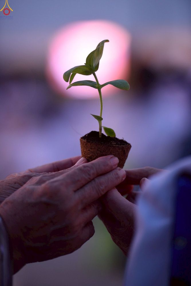 ภาพ No.253002:วันที่ 10 ตุลาคม พ.ศ. 2568 พิธีปลูกต้นทรัพย์บานชื่น ณ ลานธรรม วัดพระธรรมกาย