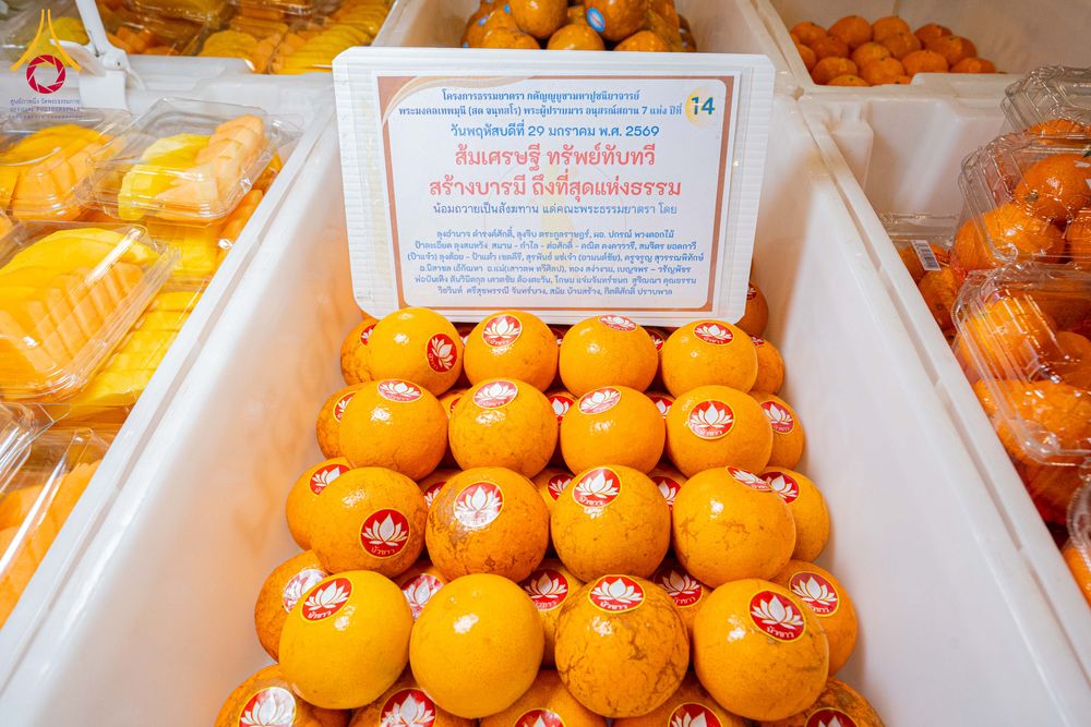 ภาพ No.305674:วันที่ 29 มกราคม พ.ศ. 2569 พิธีถวายภัตตาหารเป็นสังฆทาน แด่พระธรรมยาตรา ณ วัดพระธรรมกาย  จังหวัดปทุมธานี ในโครงการธรรมยาตรา กตัญญูบูชา มหาปูชนียาจารย์ พระมงคลเทพมุนี(สด จนฺทสโร) พระผู้ปราบมาร อนุสรณ์สถาน 7 แห่ง ปีที่ 14