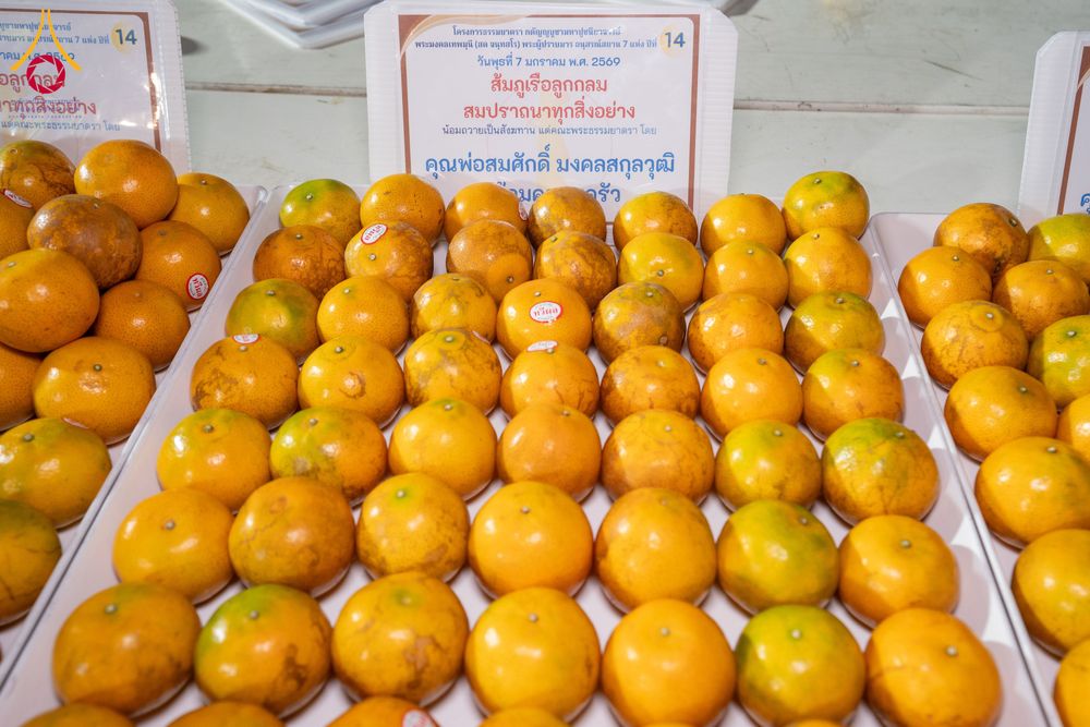 ภาพ No.289572:วันที่ 7 มกราคม พ.ศ. 2569 พิธีถวายภัตตาหารเป็นสังฆทาน แด่พระธรรมยาตรา ในโครงการธรรมยาตรา กตัญญูบูชา มหาปูชนียาจารย์ พระมงคลเทพมุนี(สด จนฺทสโร) พระผู้ปราบมาร อนุสรณ์สถาน 7 แห่ง ปีที่ 14 ณ อนุสรณ์สถานมหาวิหารพระมงคลเทพมุนี (โลตัสแลนด์) อ.สองพี่น้อง จ.สุพรร