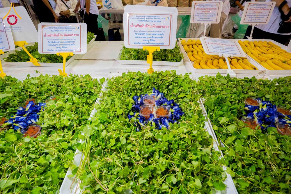 ภาพ No.307004:วันที่ 31 มกราคม พ.ศ. 2569 พิธีถวายภัตตาหารเป็นสังฆทาน แด่พระธรรมยาตรา ณ วัดพระธรรมกาย  จังหวัดปทุมธานี ในโครงการธรรมยาตรา กตัญญูบูชา มหาปูชนียาจารย์ พระมงคลเทพมุนี(สด จนฺทสโร) พระผู้ปราบมาร อนุสรณ์สถาน 7 แห่ง ปีที่ 14