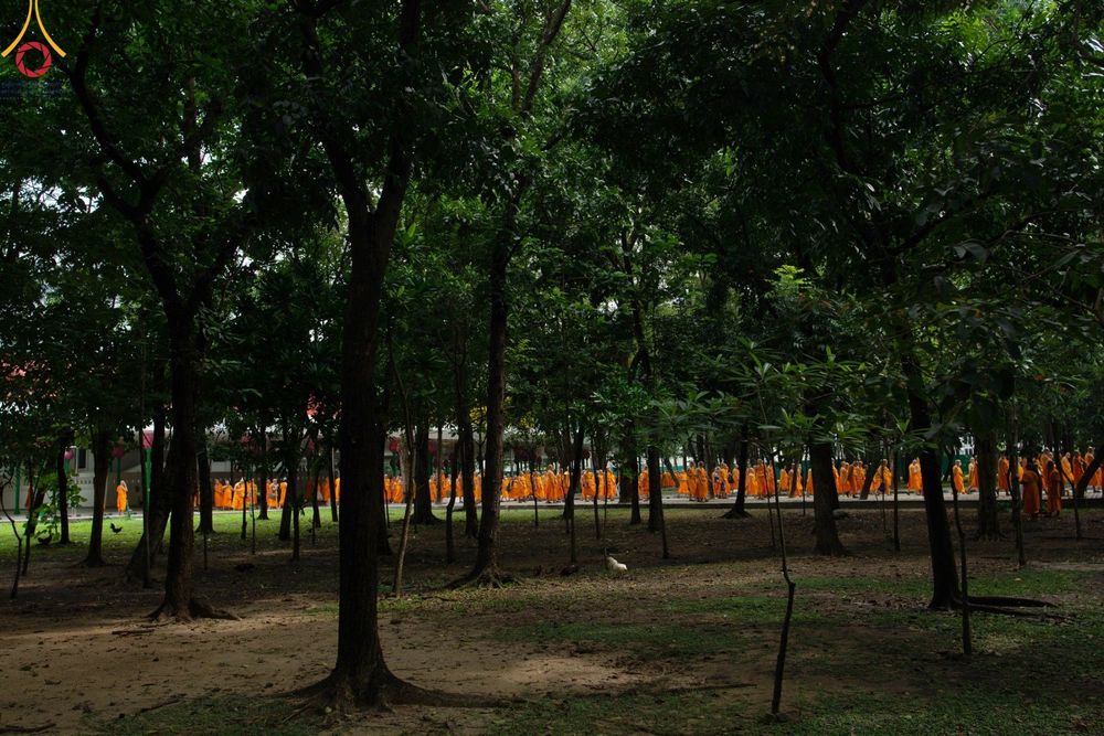 ภาพ No.91492:วันมหาปวารณาออกพรรษา ณ อุโบสถวัดพระธรรมกาย วันอาทิตย์ที่ 29 ตุลาคม พ.ศ.2566 (ขึ้น 15 ค่ำ เดือน 11)