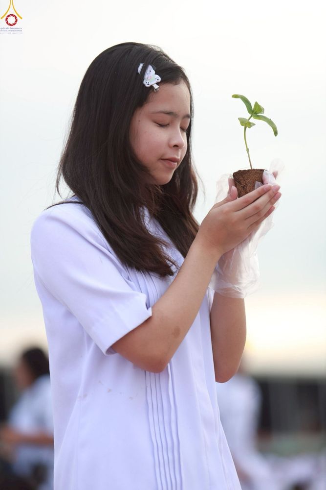 ภาพ No.253082:วันที่ 10 ตุลาคม พ.ศ. 2568 พิธีปลูกต้นทรัพย์บานชื่น ณ ลานธรรม วัดพระธรรมกาย