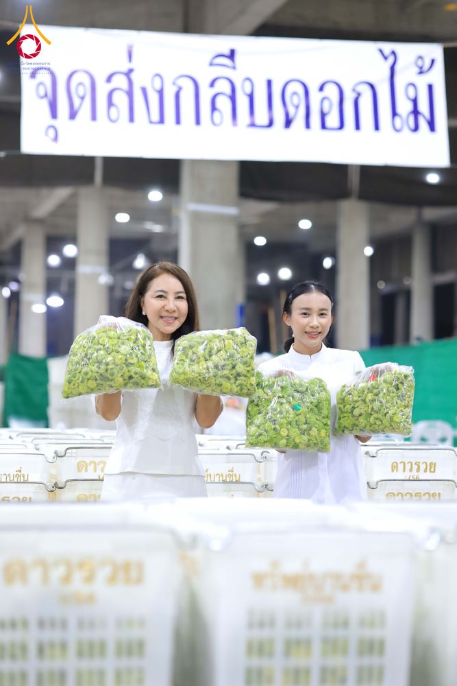 ภาพ No.303285:วันที่ 15-21 มกราคม พ.ศ.2569 ปลิดกลีบดอกเบญจทรัพย์ เพื่อโปรยต้อนรับพระธรรมยาตรา ในโครงการธรรมยาตรา กตัญญูบูชา มหาปูชนียาจารย์ พระมงคลเทพมุนี(สด จนฺทสโร) พระผู้ปราบมาร อนุสรณ์สถาน 7 แห่ง ปีที่ 14 ณ วิหารคด วัดพระธรรมกาย