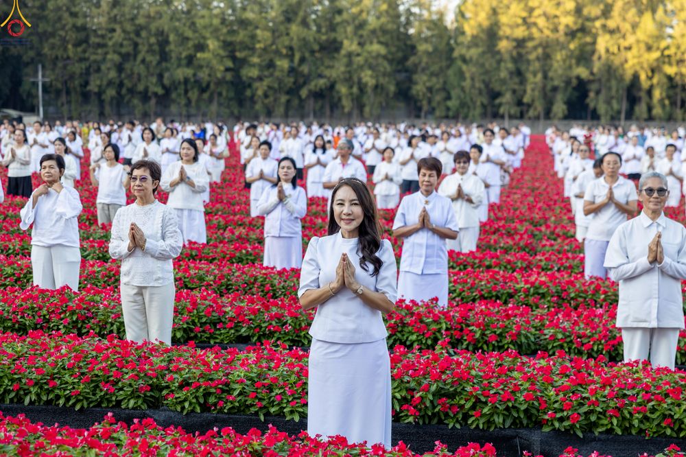 ภาพ No.280928:วันที่ 28 ธันวาคม พ.ศ.2568 กิจกรรมเก็บดอกแพงรวย ณ ทุ่งสวรรค์ตะวันฉาย วัดพระธรรมกาย