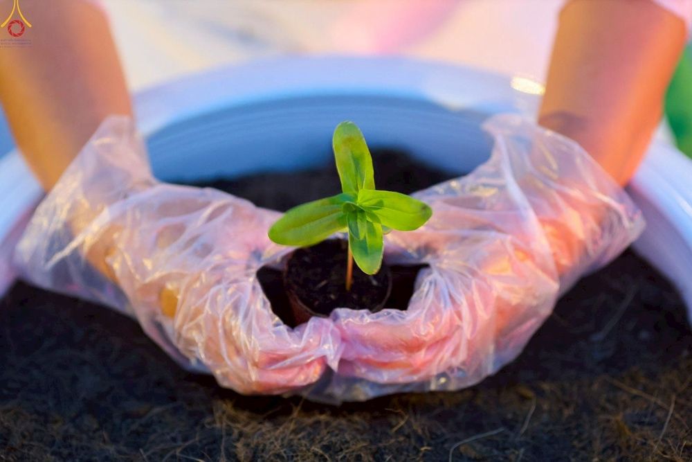 ภาพ No.253059:วันที่ 10 ตุลาคม พ.ศ. 2568 พิธีปลูกต้นทรัพย์บานชื่น ณ ลานธรรม วัดพระธรรมกาย