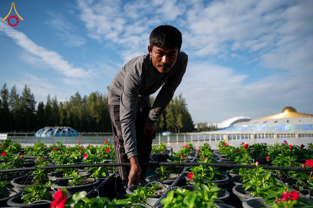 ภาพ No.285372:วันพุธที่ 10 ธันวาคม พ.ศ.2568  การเตรียมความพร้อมในโครงการธรรมยาตรา กตัญญูบูชา มหาปูชนียาจารย์ พระมงคลเทพมุนี(สด จนฺทสโร) พระผู้ปราบมาร อนุสรณ์สถาน 7 แห่ง ปีที่ 14 เก็บดอกเบญจทรัพย์ ณ วัดพระธรรมกาย