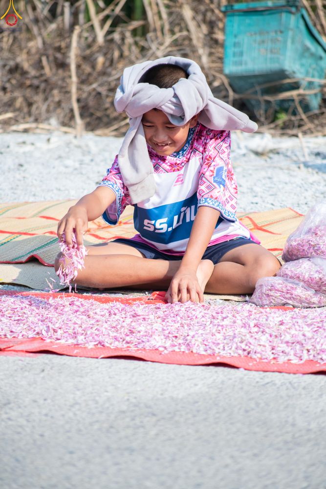 ภาพ No.290403:วันที่ 7 มกราคม พ.ศ. 2569 พิธีต้อนรับพระธรรมยาตรา ณ อนุสรณ์สถานลำดับที่ 2  สถานที่ตั้งมโนปณิธานบวชตลอดชีวิต อนุสรณ์สถานคลองบางนางแท่น (ภาพชุดที่ 2) อ.สามพราน จ.นครปฐม ในโครงการธรรมยาตรา กตัญญูบูชา มหาปูชนียาจารย์ พระมงคลเทพมุนี(สด จนฺทสโร) พระผู้ปราบมาร 