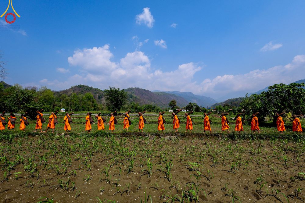 ภาพ No.315780:วันอังคารที่ 24 มีนาคม พ.ศ.2569 ธรรมยาตราจาริก ณ ป่ามหาวัน ประเทศเนปาล