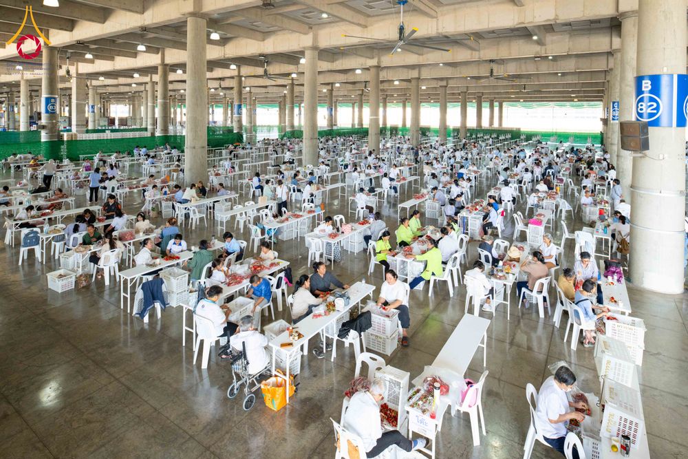 ภาพ No.279492:วันที่ 19-26 ธันวาคม พ.ศ. 2568 และ วันที่ 1 มกราคม พ.ศ.2569 รับบุญปลิดกลีบดอกไม้ เพื่อโปรยต้อนรับพระธรรมยาตรา