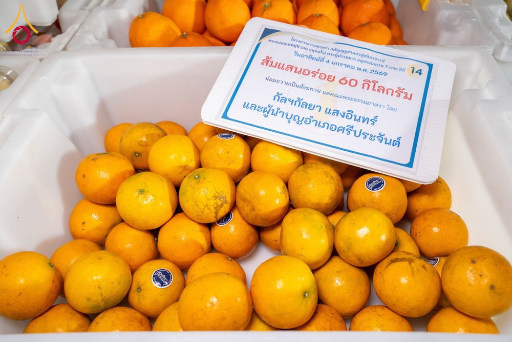 ภาพ No.288121:วันที่ 4 มกราคม พ.ศ. 2569 พิธีถวายภัตตาหารเป็นสังฆทาน แด่พระธรรมยาตรา ในโครงการธรรมยาตรา กตัญญูบูชา มหาปูชนียาจารย์ พระมงคลเทพมุนี(สด จนฺทสโร) พระผู้ปราบมาร อนุสรณ์สถาน 7 แห่ง ปีที่ 14 ณ อนุสรณ์สถานมหาวิหารพระมงคลเทพมุนี (โลตัสแลนด์) อ.สองพี่น้อง จ.สุพรร