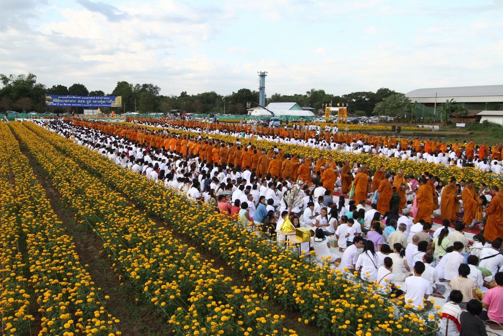 ภาพ No.5429:ตักบาตรลพบุรี พระ 555 รูป