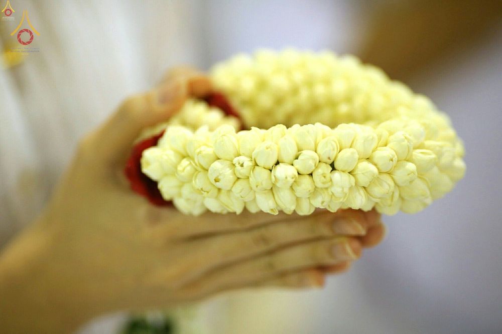 มือที่กำลังประคองพวงมาลัยดอกมะลิสีขาวเพื่อใช้กราบไหว้บูชา