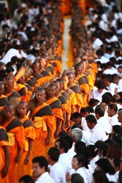 ภาพ No.6970:ประมวลภาพธุดงค์ธรรมชัย ปีที่ 2 วันที่ 14 มกราคม พ.ศ.2556