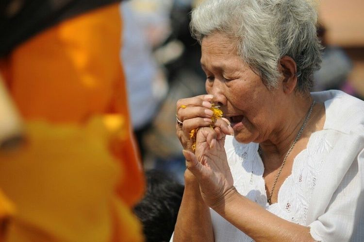 ภาพ No.7448:ประมวลภาพธุดงค์ธรรมชัย ปีที่ 2 วันที่ 22 มกราคม พ.ศ.2556
