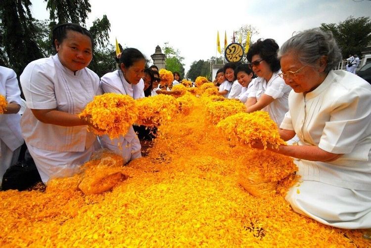 ภาพ No.7871:ประมวลภาพธุดงค์ธรรมชัย ปีที่ 2 วันที่ 27 มกราคม พ.ศ.2556