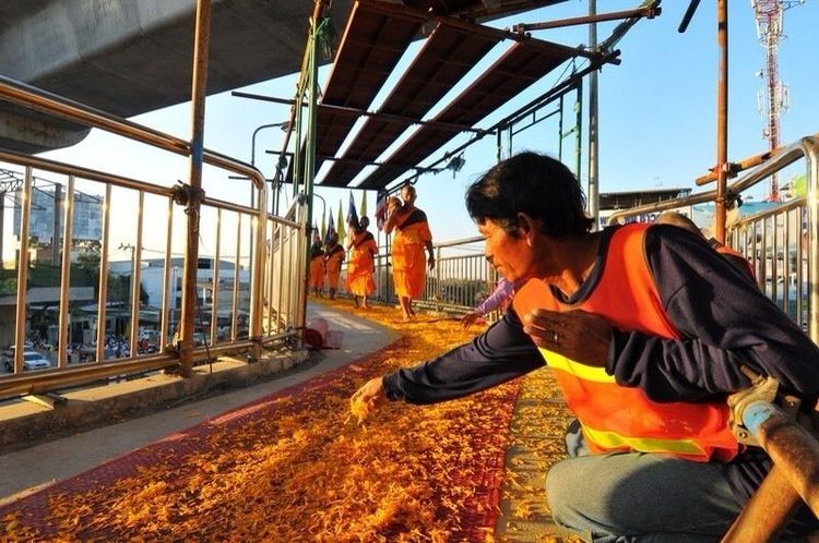 ภาพ No.6770:ประมวลภาพธุดงค์ธรรมชัย ปีที่ 2 วันที่ 13 มกราคม พ.ศ.2556