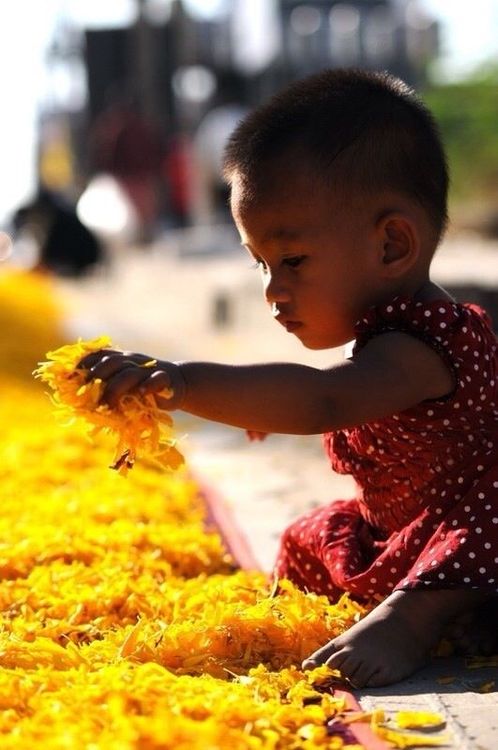 ภาพ No.6788:ประมวลภาพธุดงค์ธรรมชัย ปีที่ 2 วันที่ 13 มกราคม พ.ศ.2556