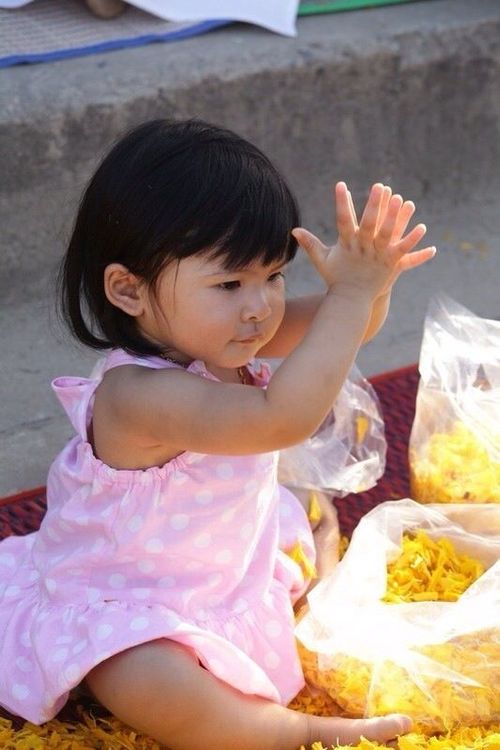 ภาพ No.6791:ประมวลภาพธุดงค์ธรรมชัย ปีที่ 2 วันที่ 13 มกราคม พ.ศ.2556