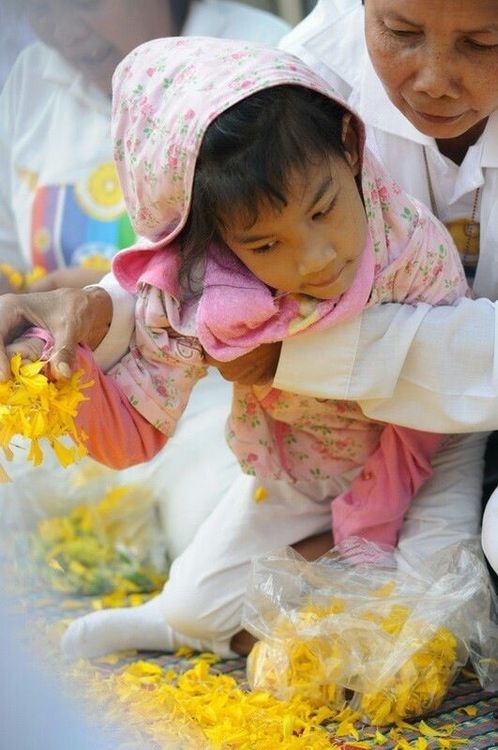 ภาพ No.7113:ประมวลภาพธุดงค์ธรรมชัย ปีที่ 2 วันที่ 16 มกราคม พ.ศ.2556