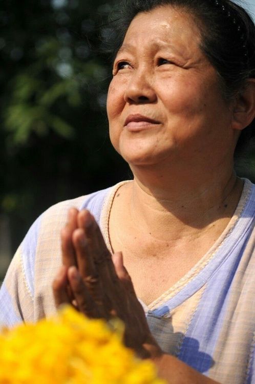 ภาพ No.7363:ประมวลภาพธุดงค์ธรรมชัย ปีที่ 2 วันที่ 21 มกราคม พ.ศ.2556